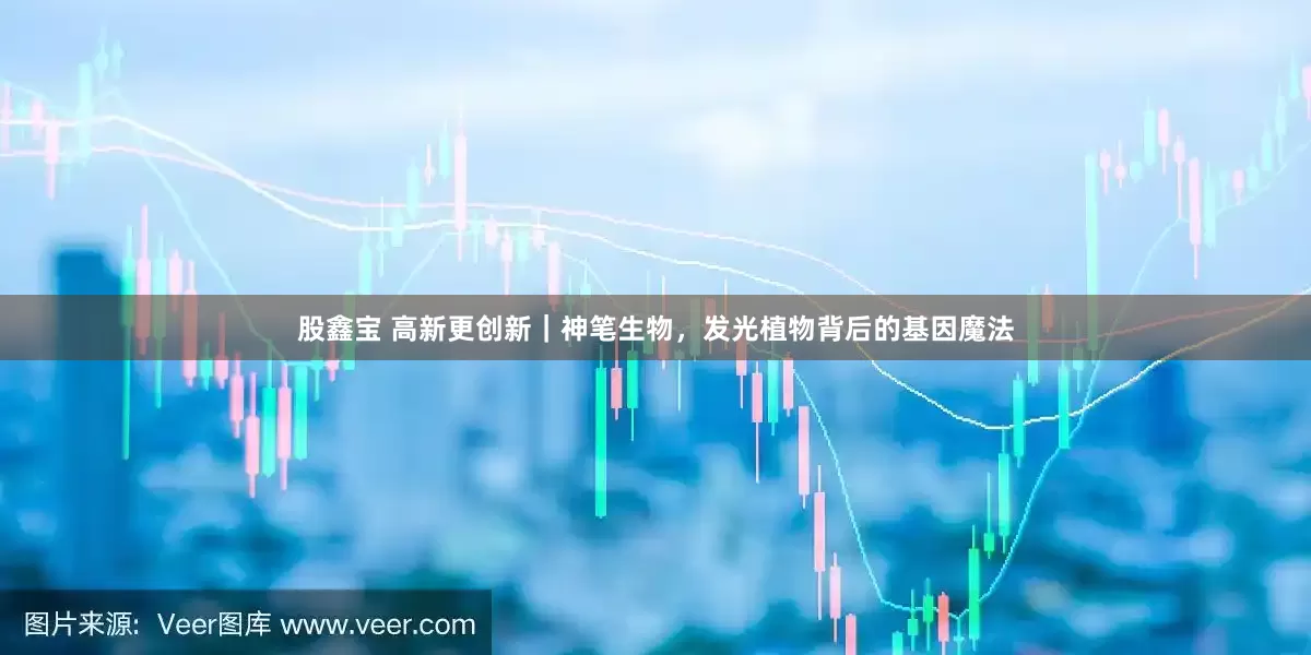 股鑫宝 高新更创新｜神笔生物，发光植物背后的基因魔法