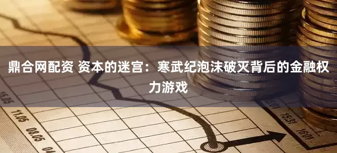 鼎合网配资 资本的迷宫：寒武纪泡沫破灭背后的金融权力游戏