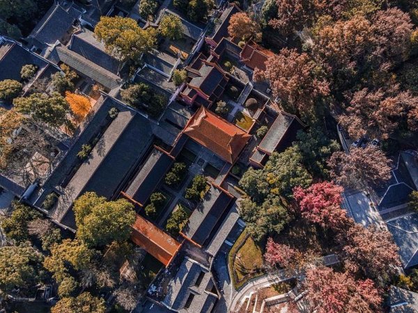 美林配资 霜降已到，全国红叶上线中！这些“出片宝地”藏不住了→